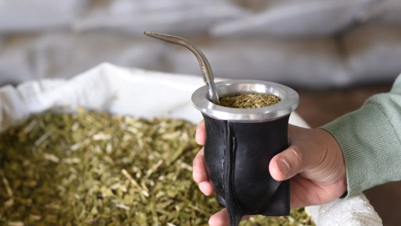Crisis en el sector yerbatero: productores anuncian un paro y el país podría quedarse sin mate