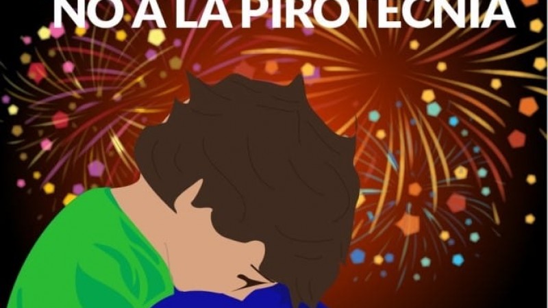 Padres TEA tras la modificación de la ordenanza sobre pirotecnia: "Es una derrota, pero seguimos luchando por los que no tienen voz"