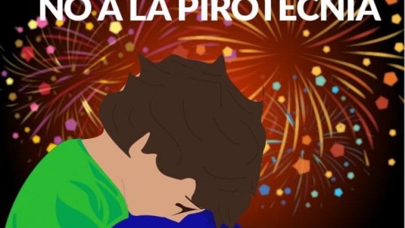 Padres TEA tras la modificación de la ordenanza sobre pirotecnia: "Es una derrota, pero seguimos luchando por los que no tienen voz"