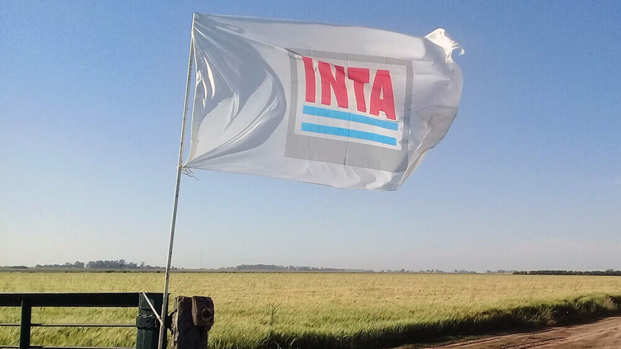 Chubut: Se abrió un amparo contra el Gobierno nacional por la disolución del INTA y el Instituto de Agricultura Familiar