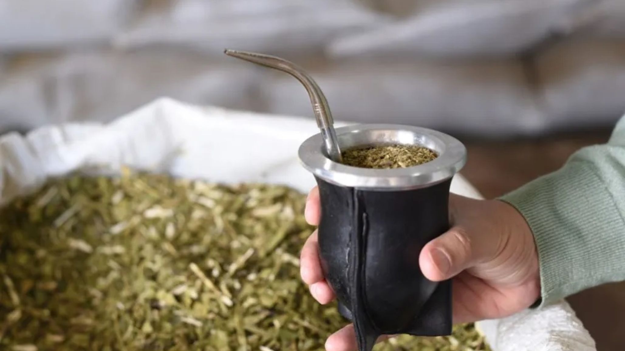 Los productores de yerba anuncian una marcha y está en riesgo la "zafriña"