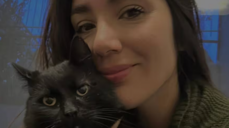 Femicidio en Necochea: Un video muestra la golpiza antes de hundir el auto en el río