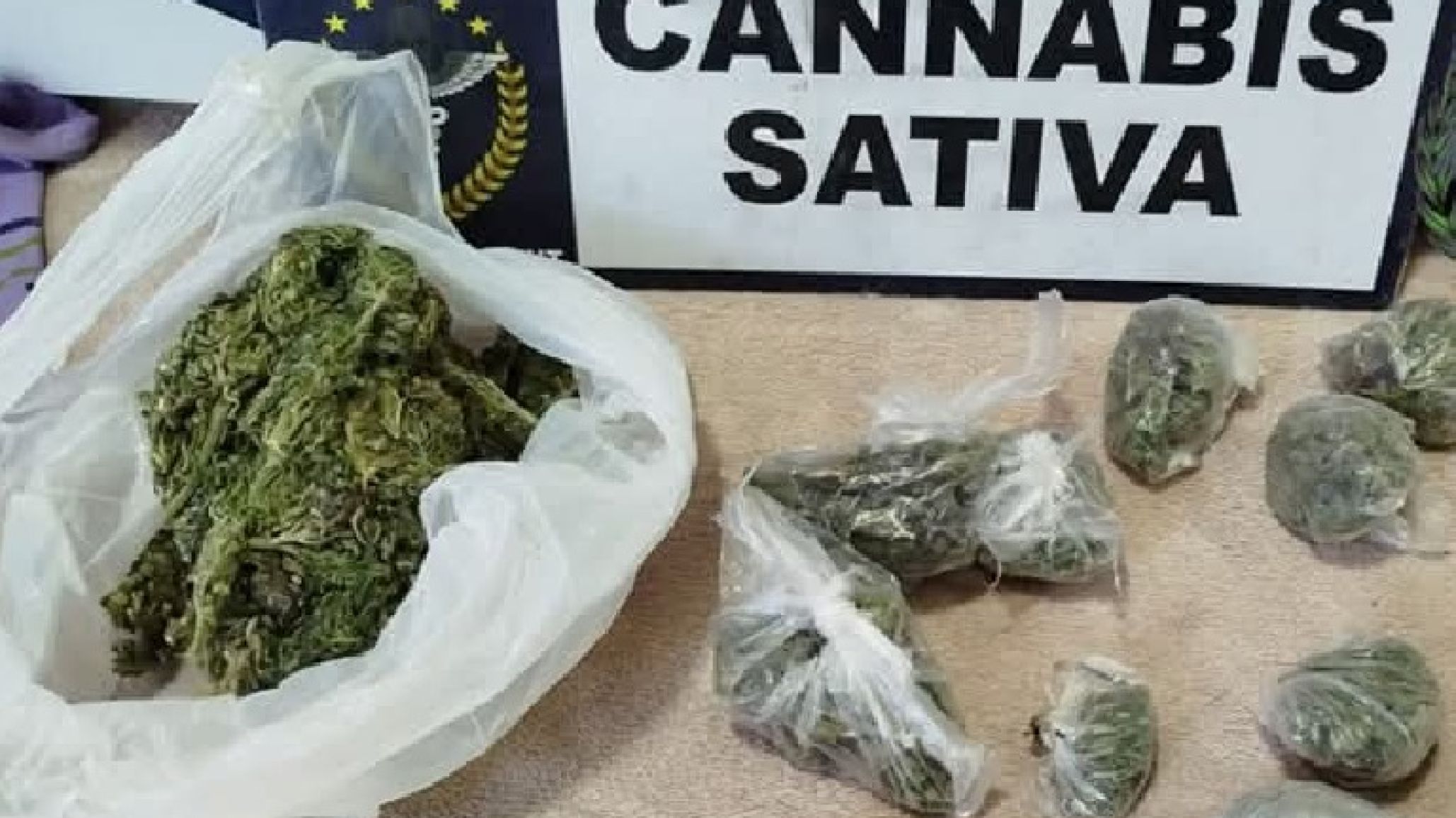 Desmantelan una red de narcotráfico en Esquel: incautaron más de 330 plantas de marihuana y armas