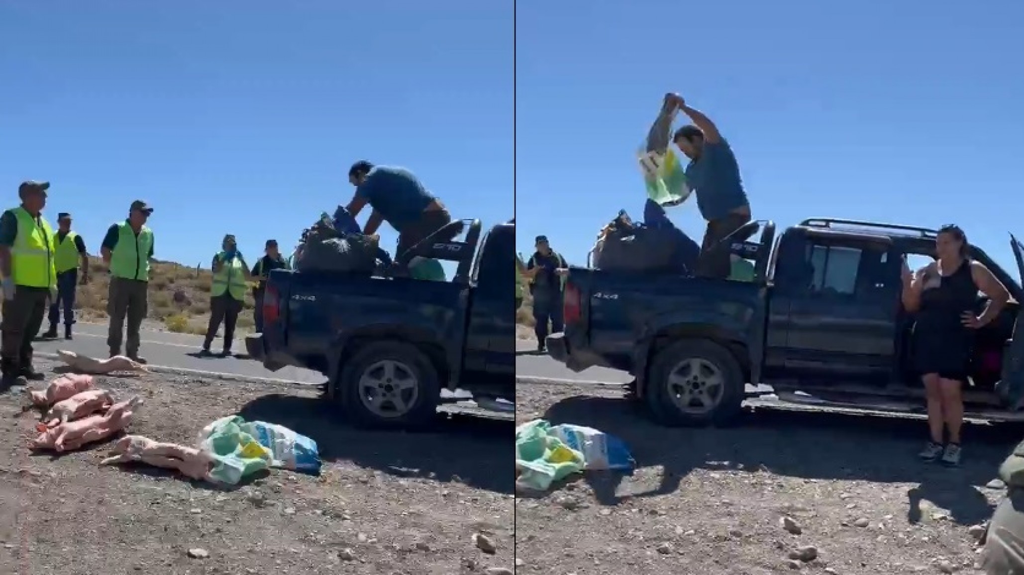 Ruta 40: Atropelló los lechones que transportaba para evitar el decomiso