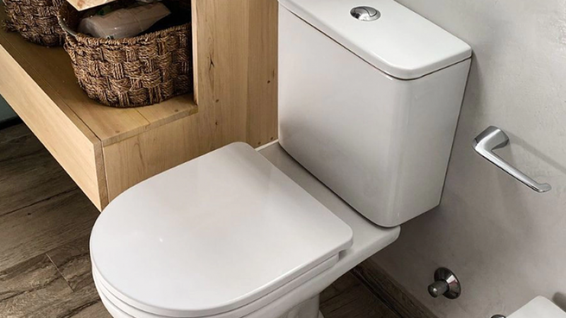 Una diputada bonaerense propone declarar al inodoro "un lugar para la paz"