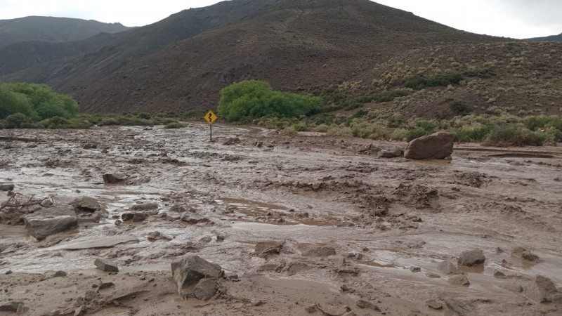Calles inundadas y casas anegadas en Paso del Sapo