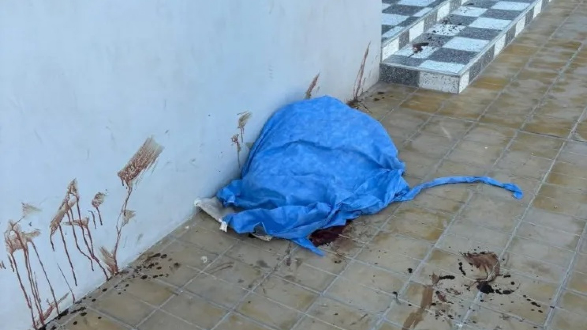 Un hombre apuñaló a un perro de ocho meses frente a un grupo de niños