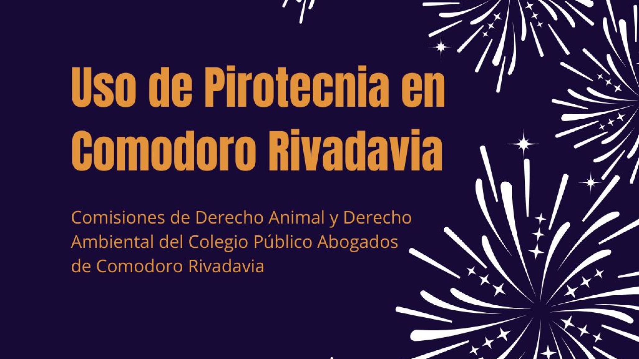 El Colegio de Abogados también se manifestó en contra de la pirotecnia