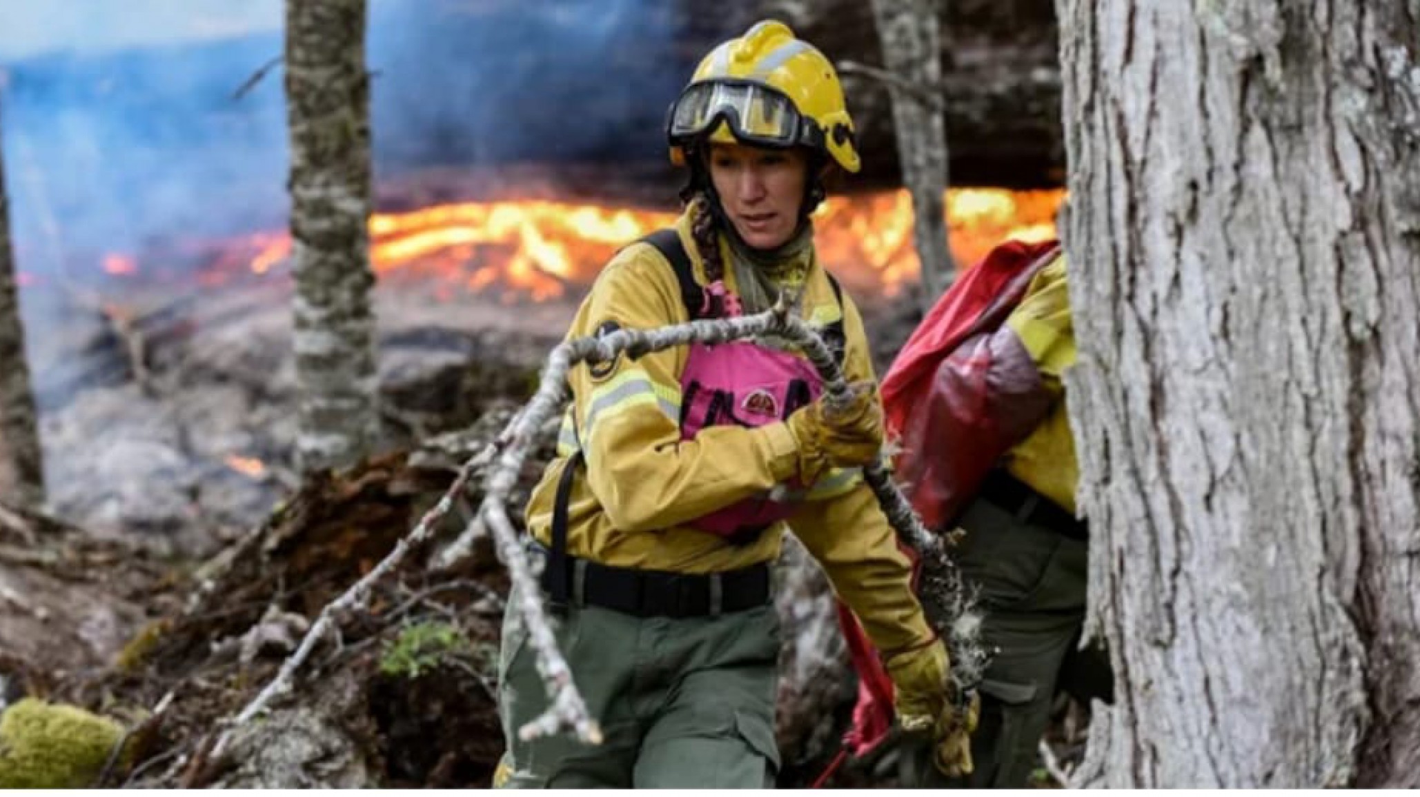 Incendio: Más de 1.500 hectáreas devastadas en el Parque Nahuel Huapi