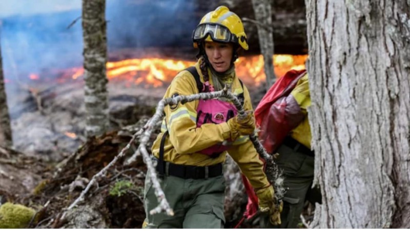 Incendio: Más de 1.500 hectáreas devastadas en el Parque Nahuel Huapi