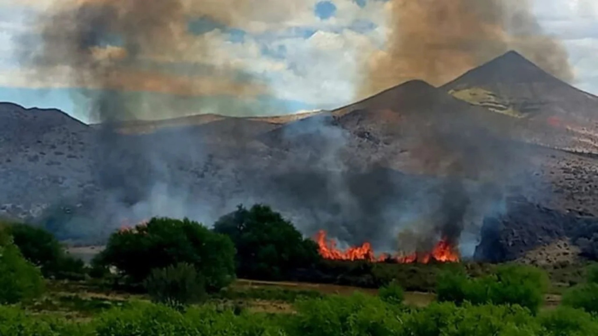 Incendio en Los Cipreses: más de 100 hectáreas de bosque nativo fueron afectadas