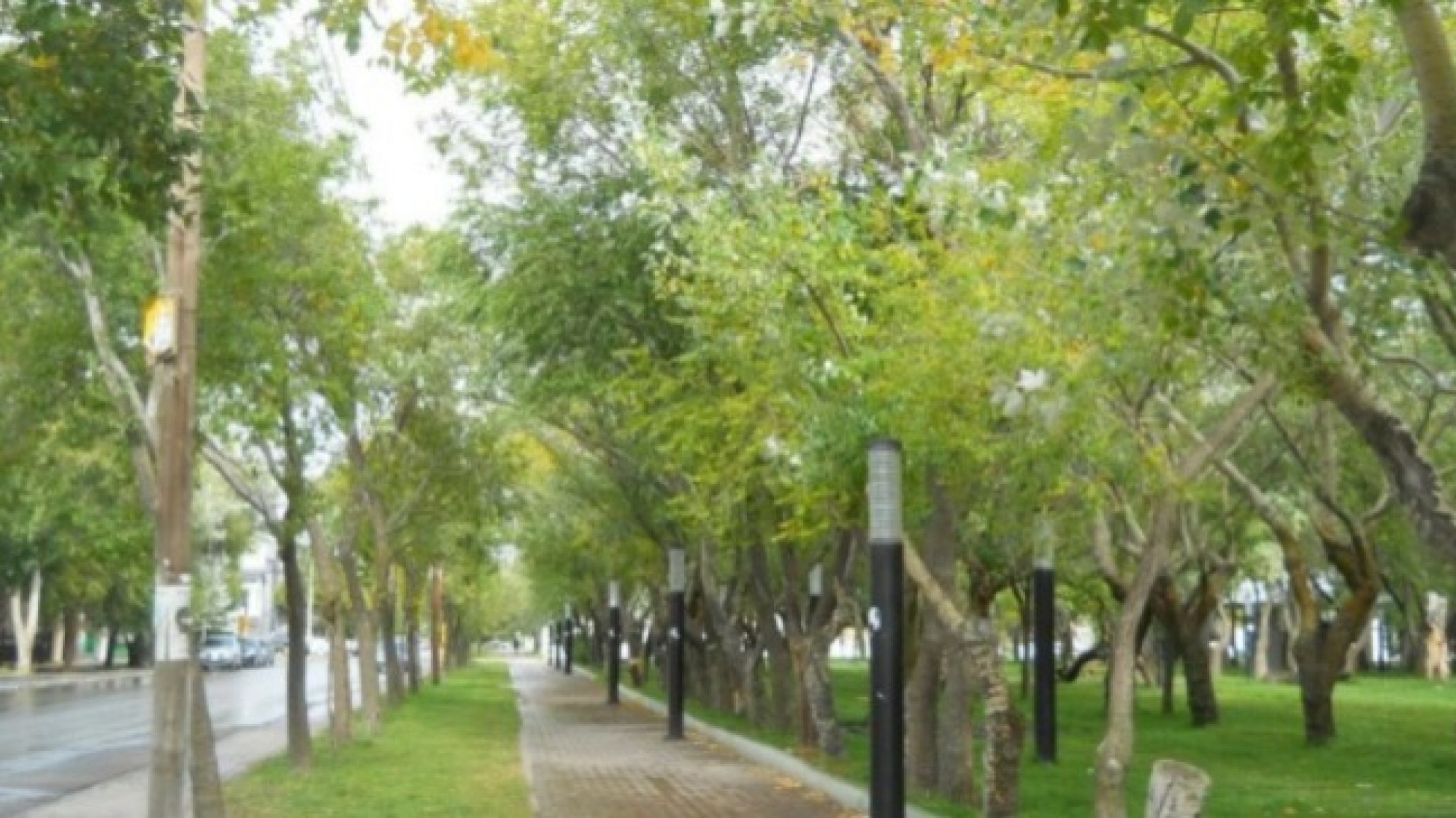 Un nene de 10 años tocó un poste y se electrocutó en la plaza, permanece en terapia intensiva