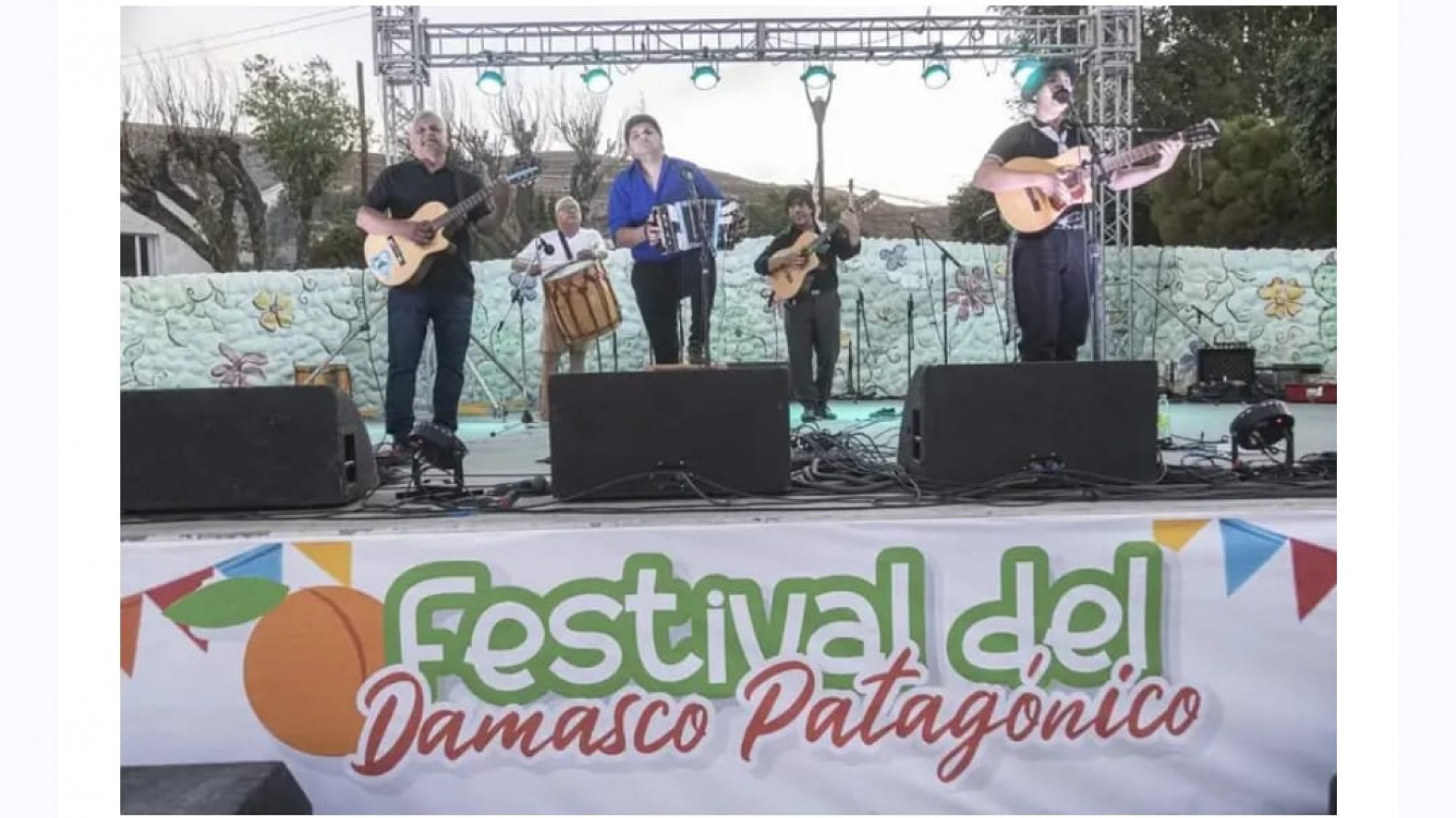 Suspensión inesperada del Festival del Damasco Patagónico: ¿Qué ocurrió?