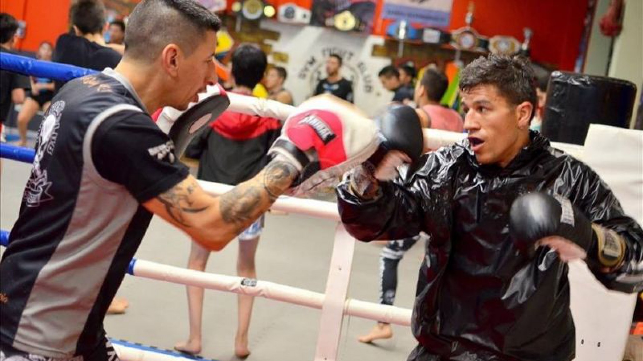Rodrigo Maizares pelea en Canadá