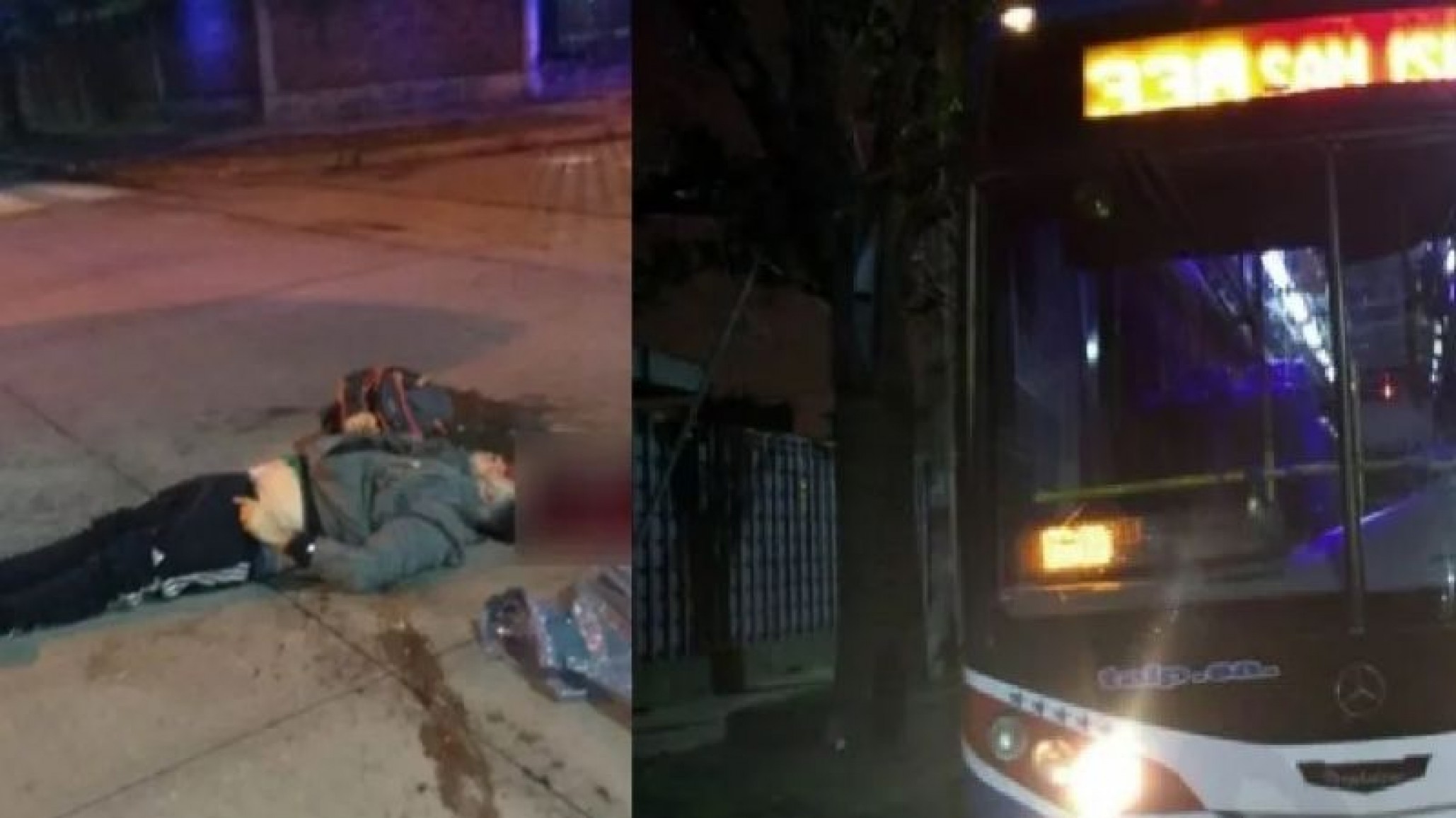 Le robó el bolso al chofer y tras un forcejeo cayó del colectivo: le aplastó la cabeza