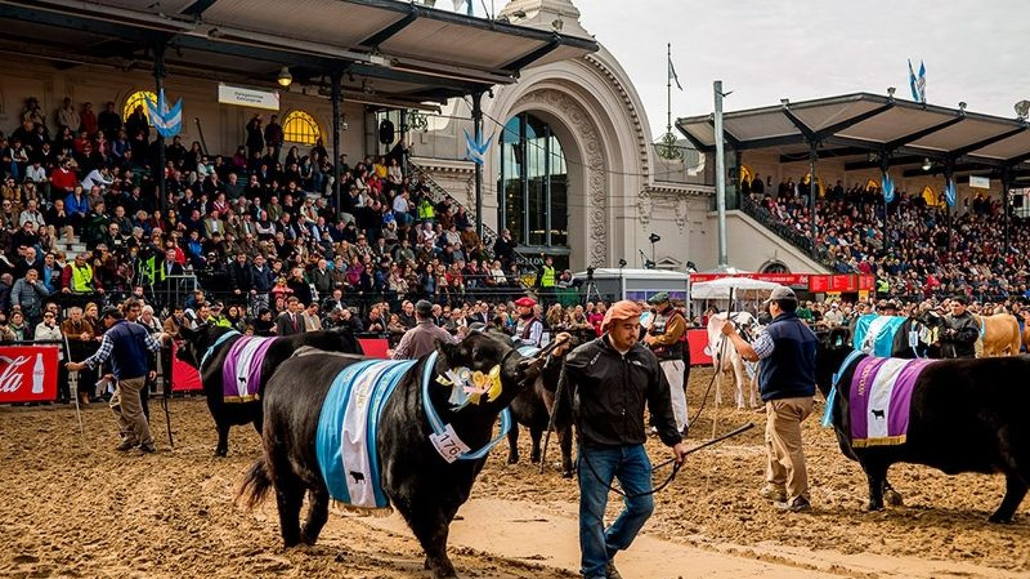 Chubut participará de la Expo Rural Ganadera que se realizará en Buenos Aires
