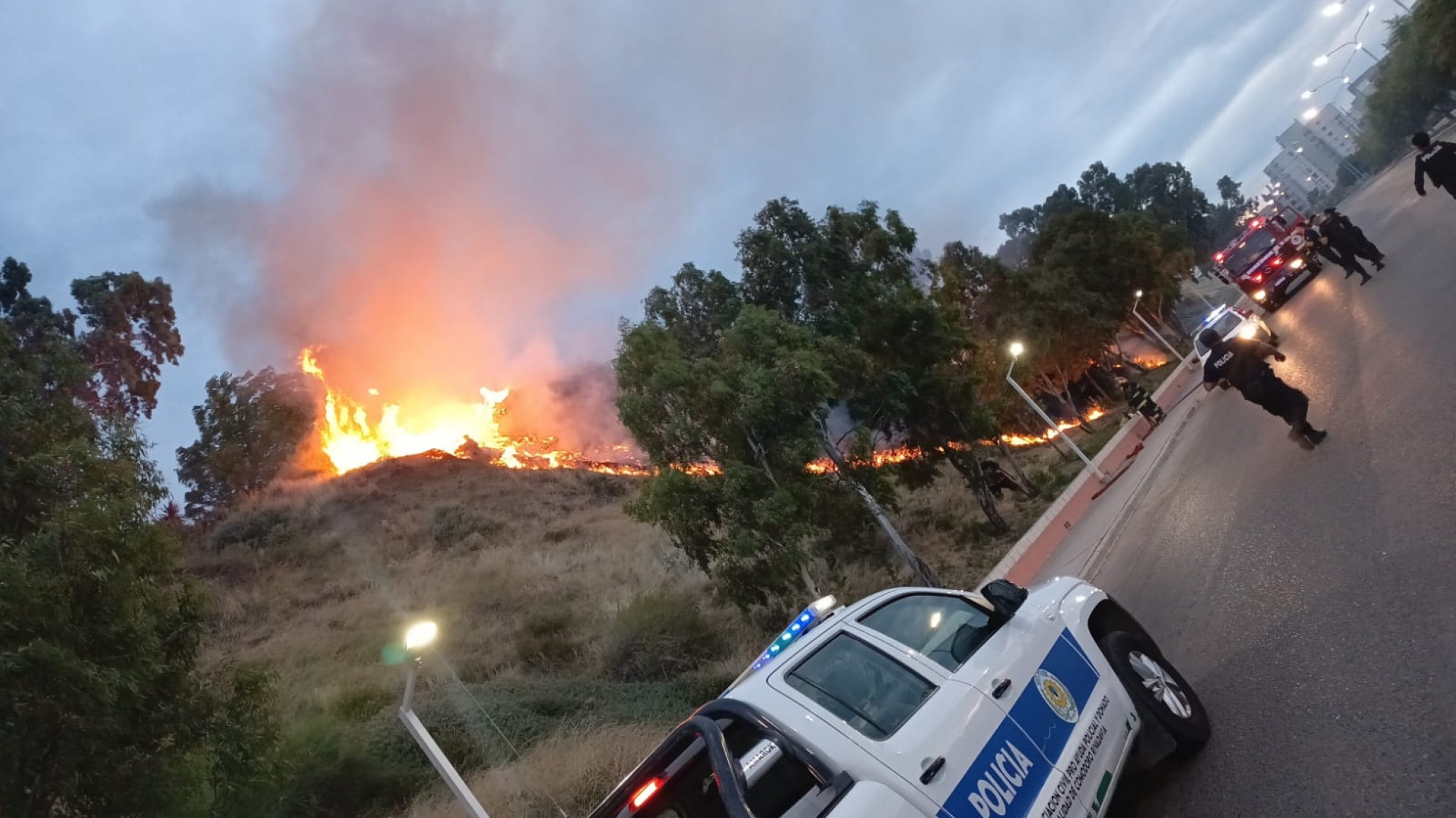 Apagaron un incendio de pastizales en pleno centro