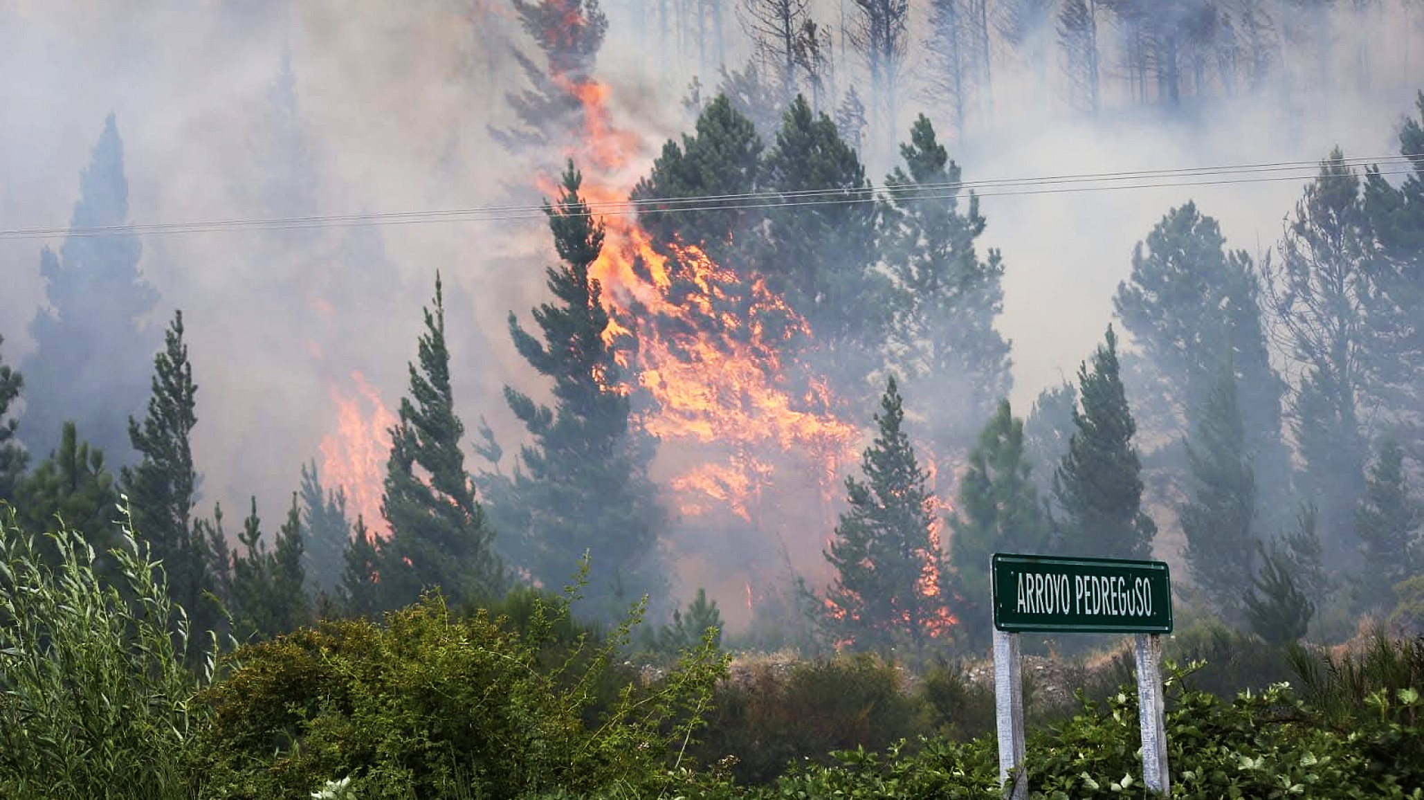 Incendios: Se activaron protocolos de asistencia sanitaria en la zona afectada