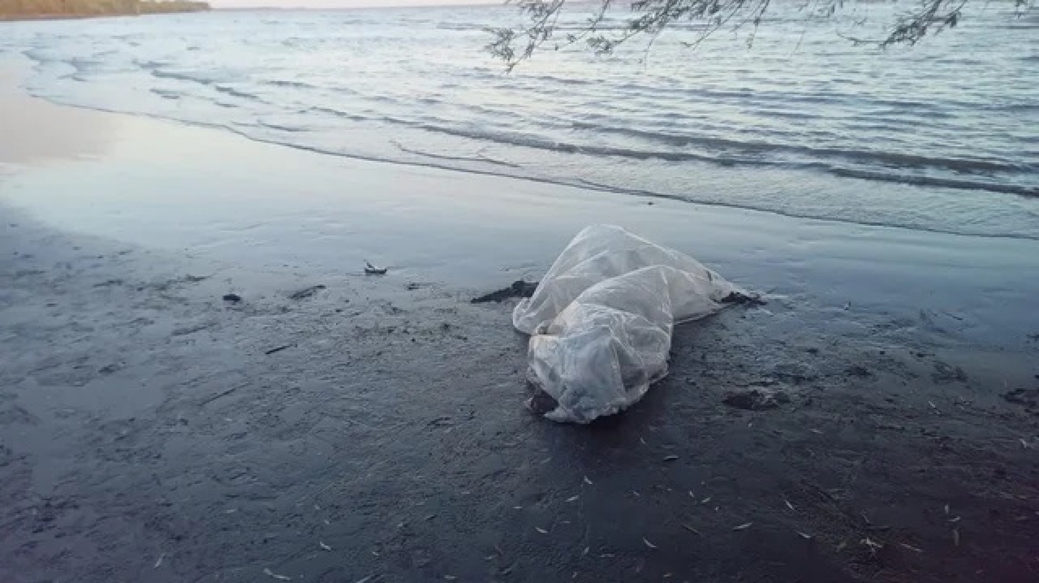 Tragedia en Berisso: encontraron a un pescador sin vida en la costa