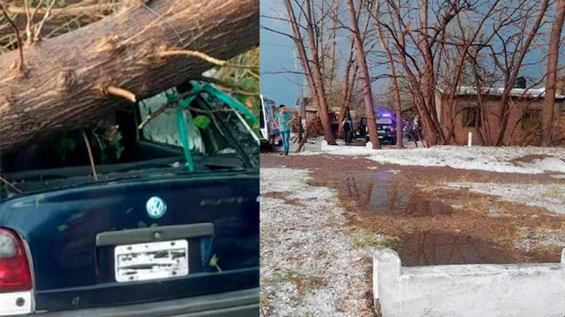 Tragedia: un joven murió aplastado por un árbol mientras intentaba proteger su auto durante una tormenta