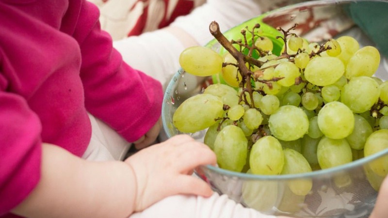 Un niño de tres años murió ahogado con una uva