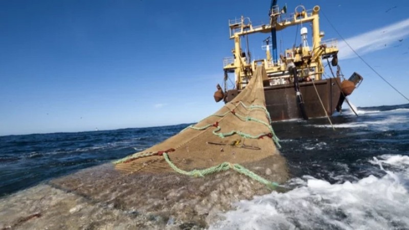 Escándalo pesquero: empresarios acusados de falsificar documentos para ingresar langostino de Chubut a Santa Cruz