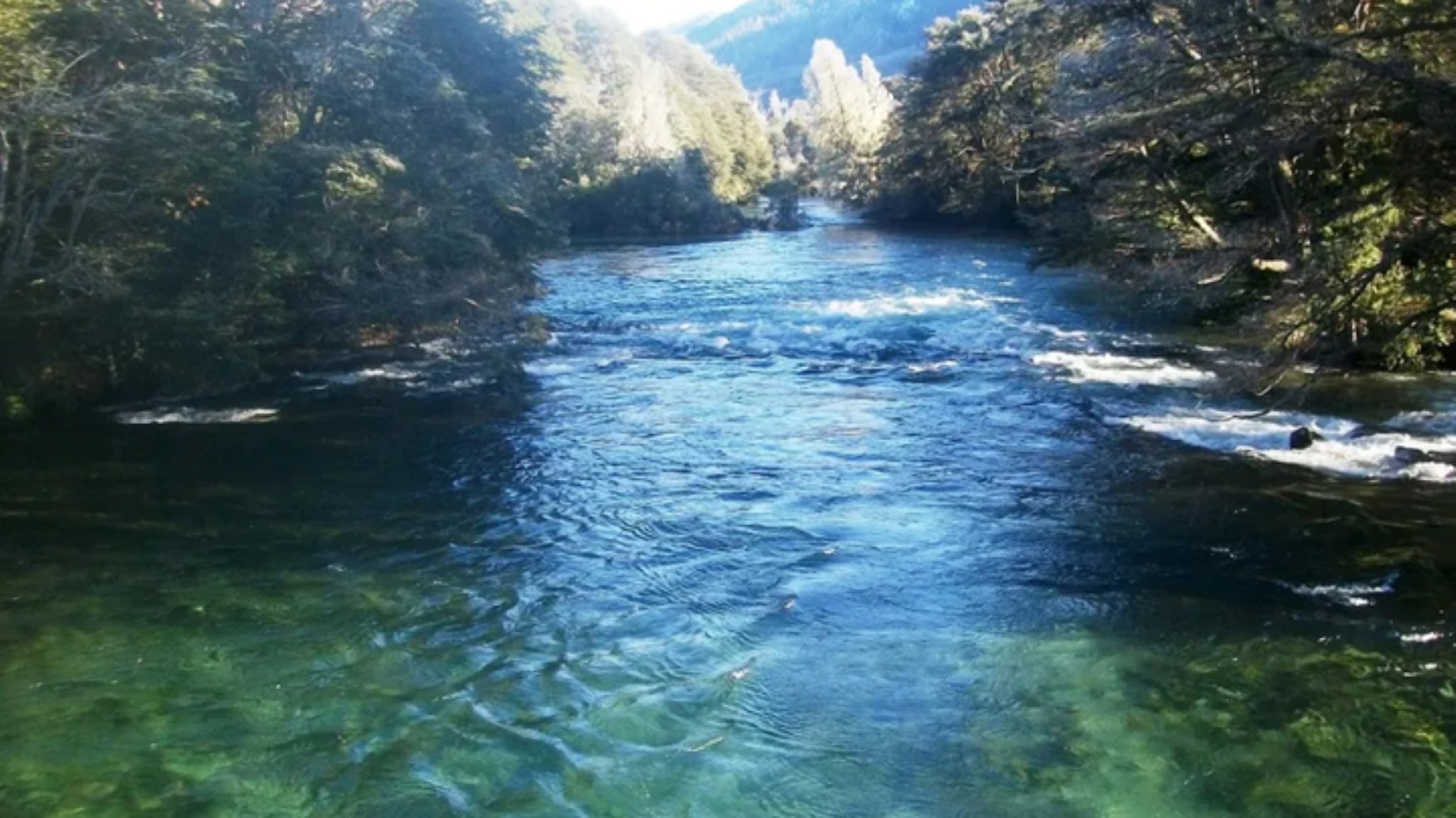 Tragedia en Río Manso: La familia necesita ayuda para trasladar los restos del joven comodorense