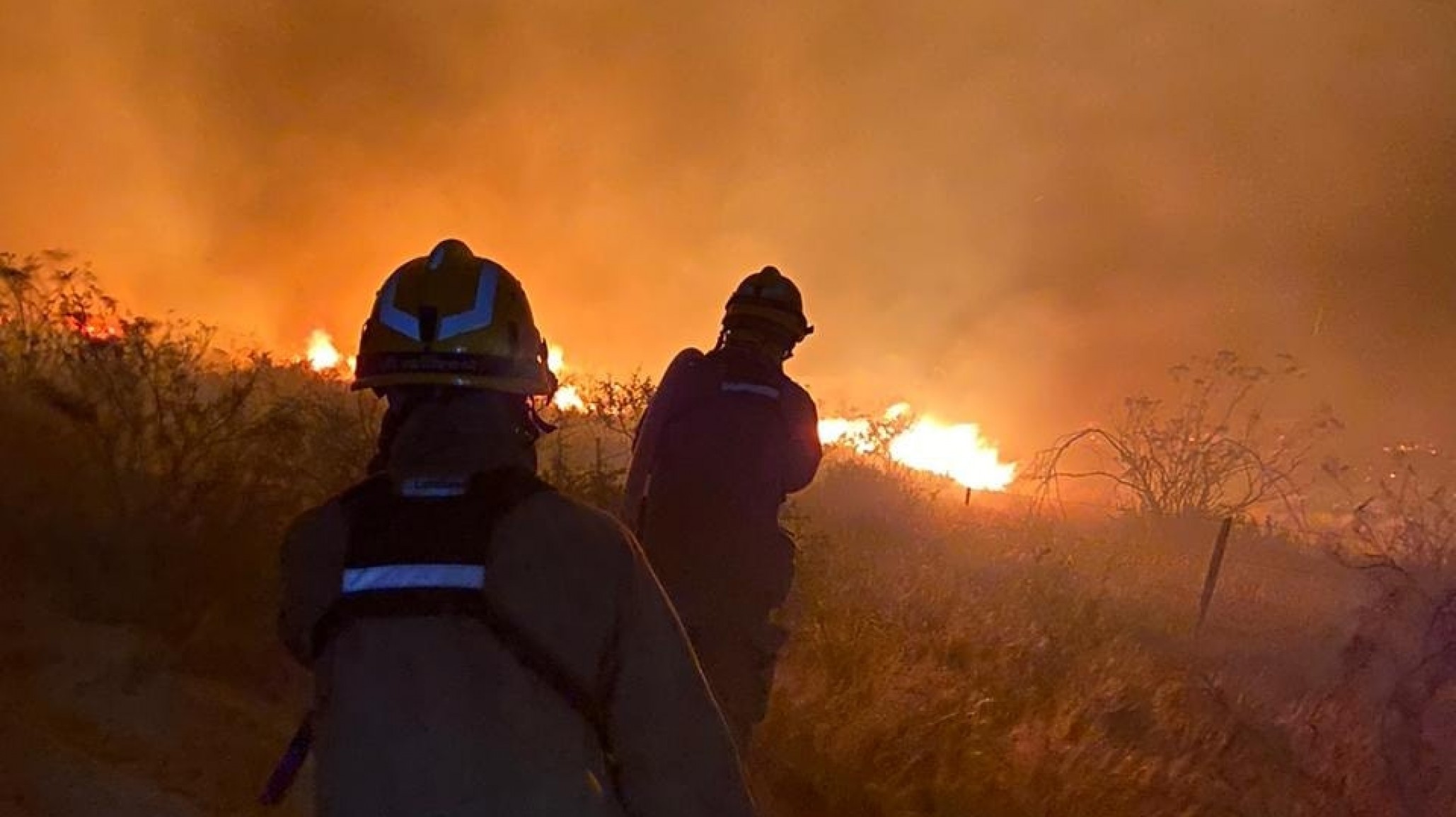 Precaución en Ruta Nacional 3: El humo reduce visibilidad en tramo Puerto Madryn - Arroyo Verde