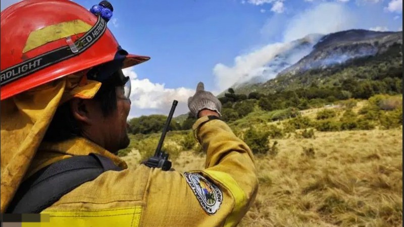 María Virginia Gallardo: "Los brigadistas que están combatiendo los incendios no llegan al millón de pesos de sueldo"