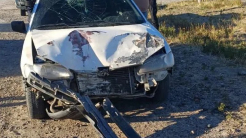 Chocó borracho contra un poste de luz y huyó, pero fue detenido en una rotonda