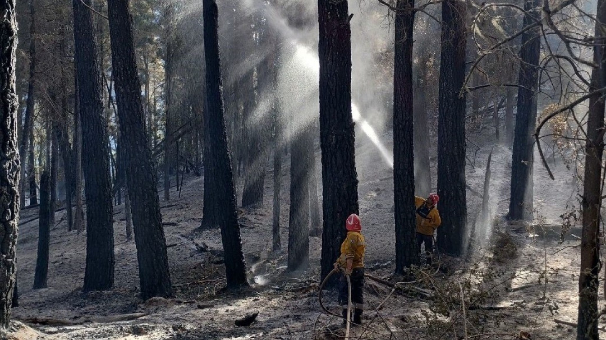 El incendio en El Pedregoso fue controlado