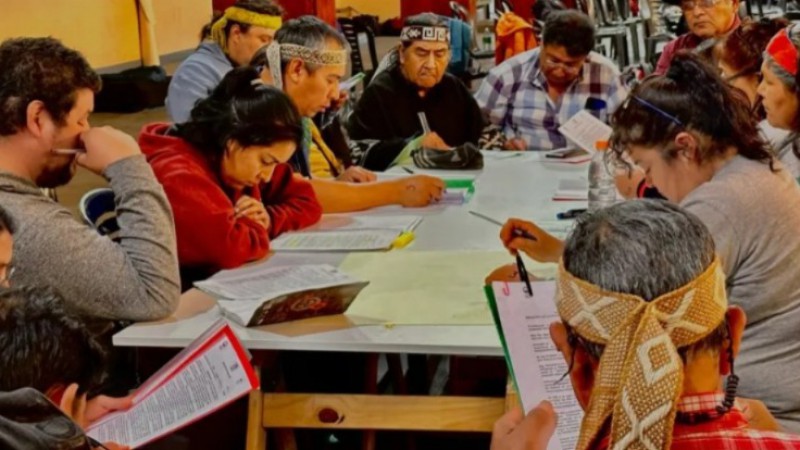 Hugo Aranea: "Hay una estigmatizacion del pueblo mapuche construida desde la política para los grandes grupos económicos"