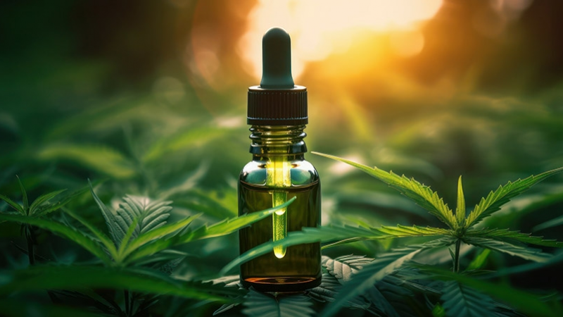 El recorte nacional al cannabis medicinal no impactará en Chubut