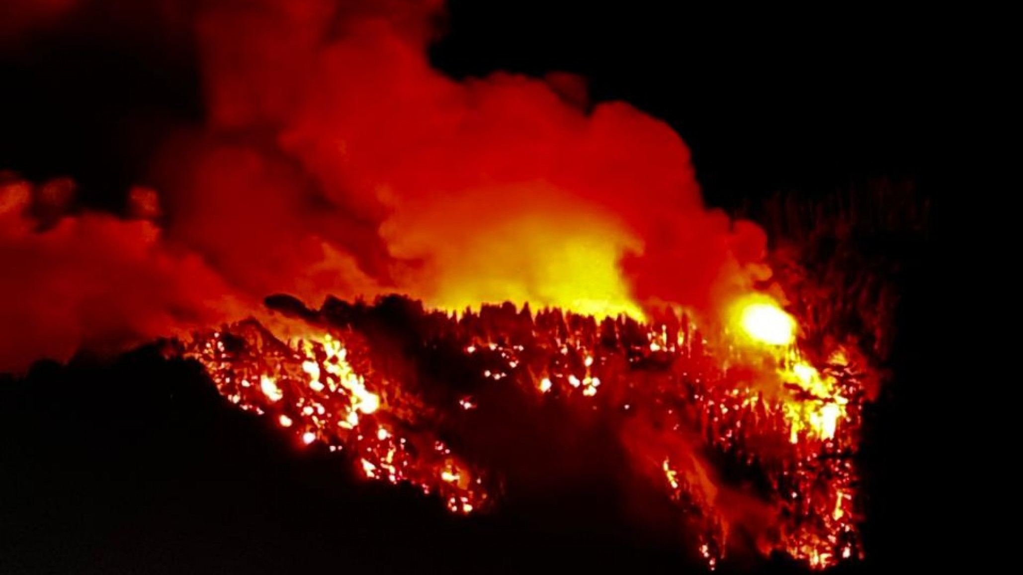 "Se presume la intencionalidad" en el incendio del Parque Nacional Los Alerces