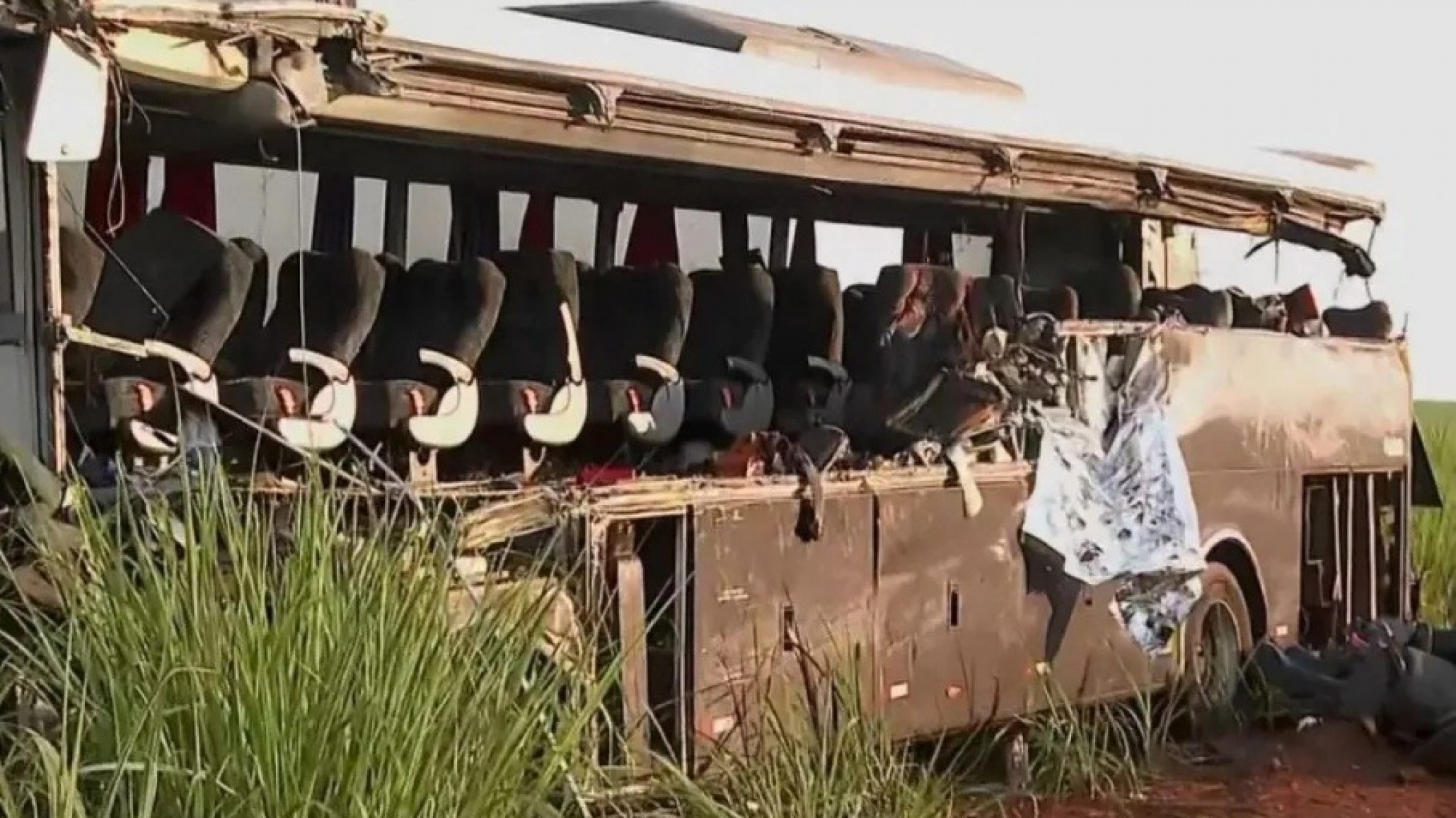Tragedia en Brasil: Doce estudiantes universitarios perdieron la vida en un choque frontal