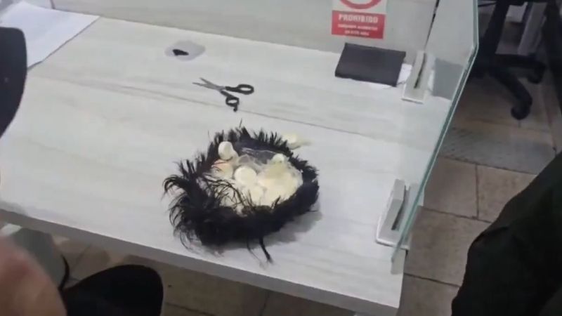 "Narcopeluca" cayó en Cartagena: Un hombre intentó volar a Ámsterdam con cocaína oculta