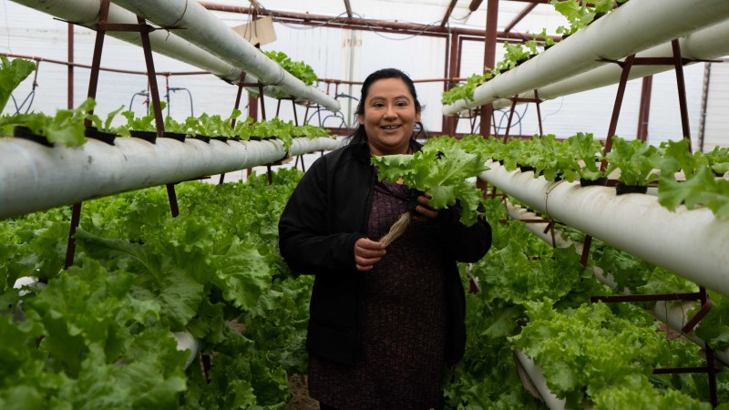 Avanzan en la implementación del Registro de productores de Comodoro