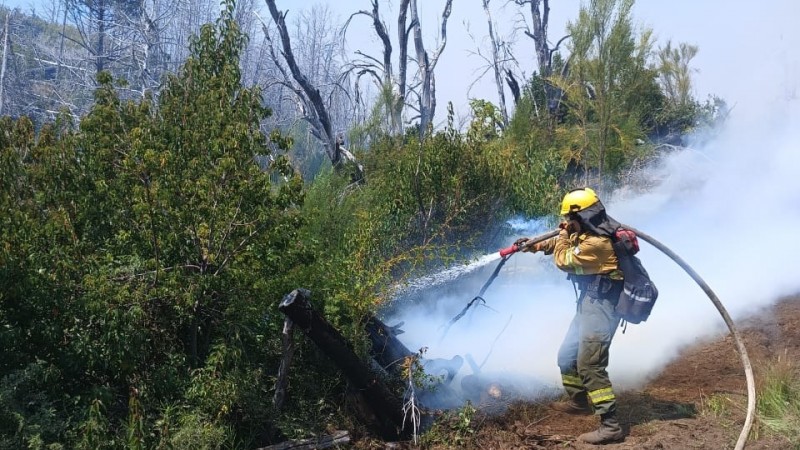 El incendio de Los Alerces ya no avanza y está siendo contenido