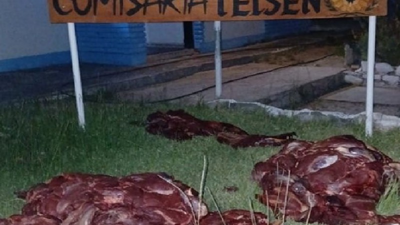 Decomisan 250 kilos de carne de guanaco en un control de ruta cerca de Telsen