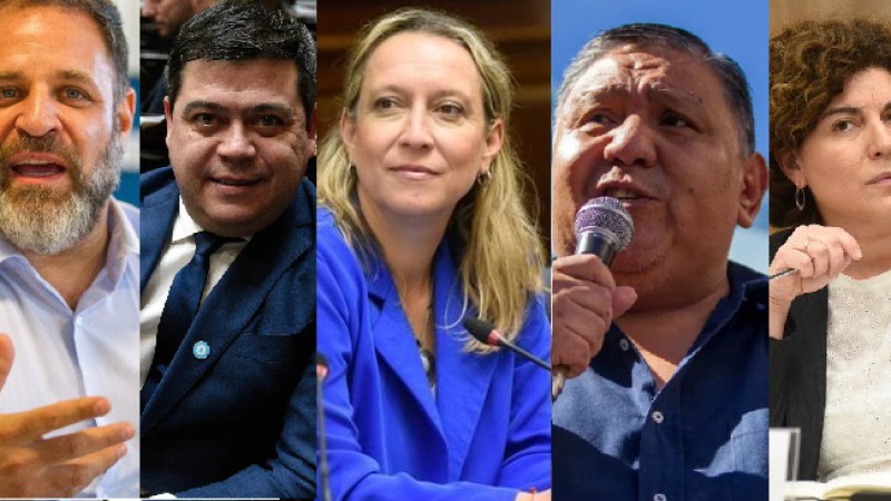 Así votaron los chubutenses la intención de crear una comisión que investigue el escándalo cripto