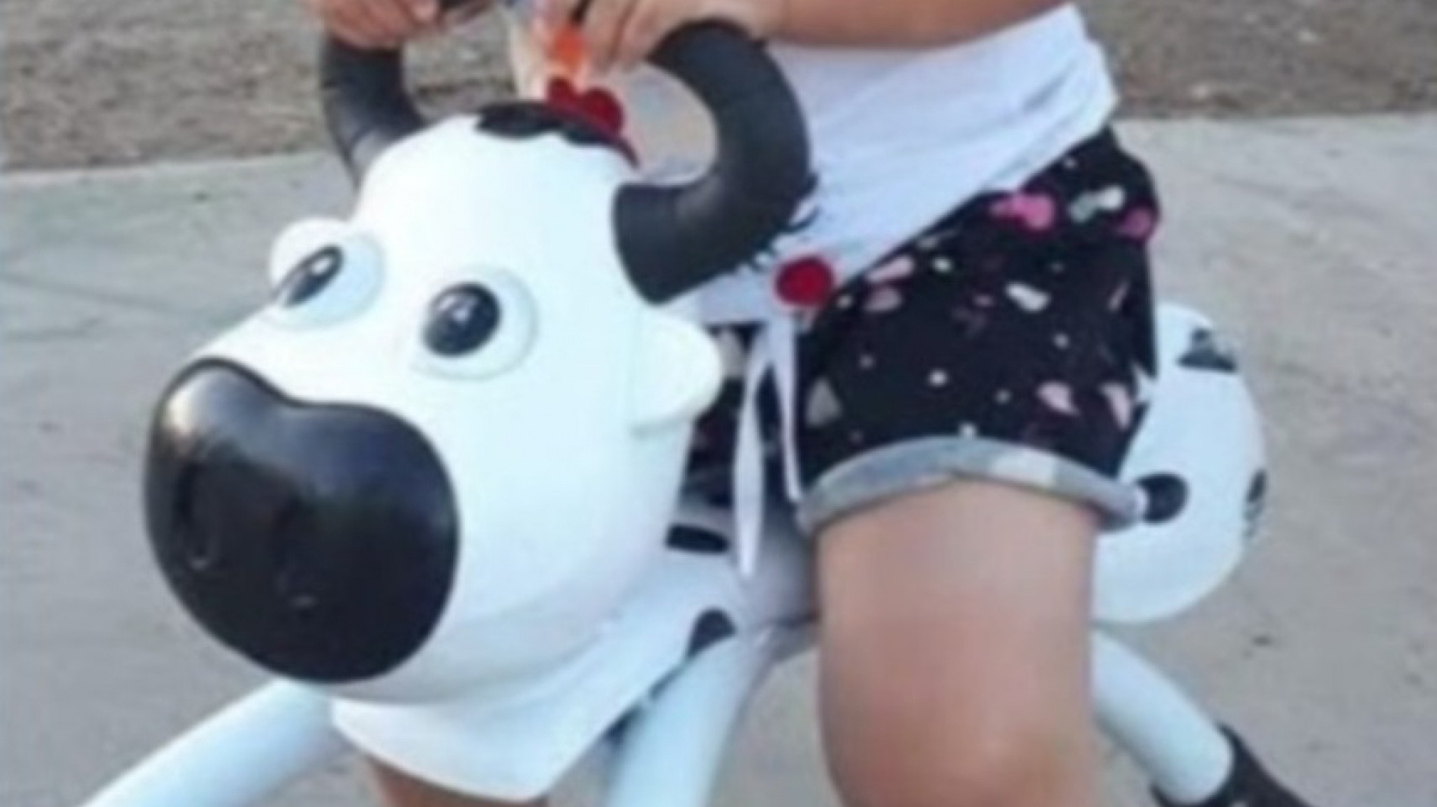 Buscan La Vaquita del carrito de helados: "hay cámaras, una mujer se la llevó y es para que todos los niños la usen"