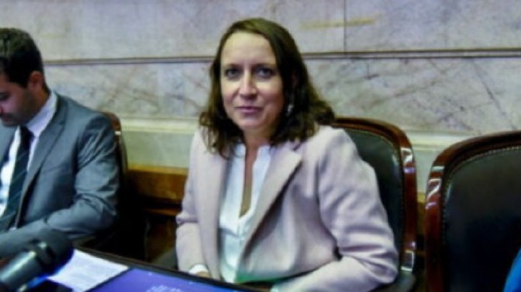 Alianiello: "La represión a jubilados es brutal y el Congreso fue un papelón violento"