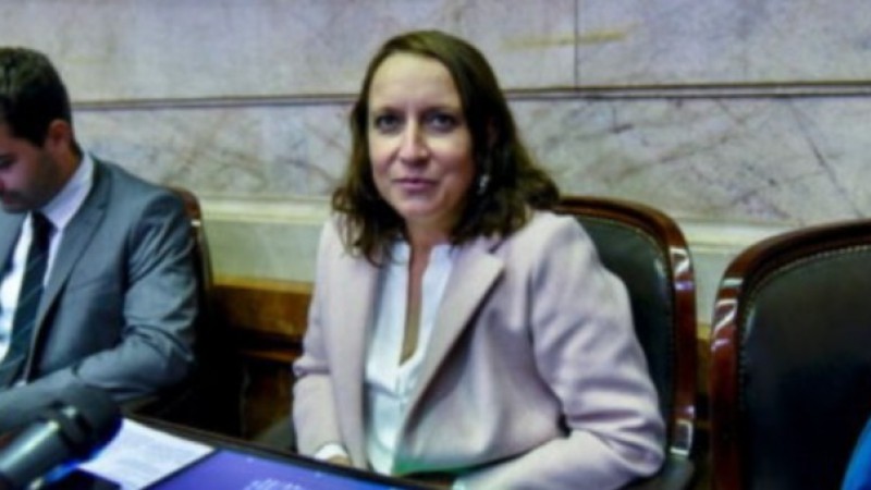 Alianiello: "La represión a jubilados es brutal y el Congreso fue un papelón violento"