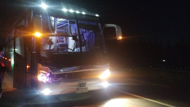 Una mujer murió atropellada por un micro en Ruta 2