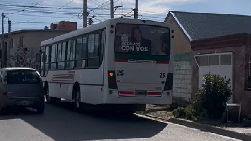 Acusan a un chofer de colectivo de atropellar y matar a un perro en Km. 5