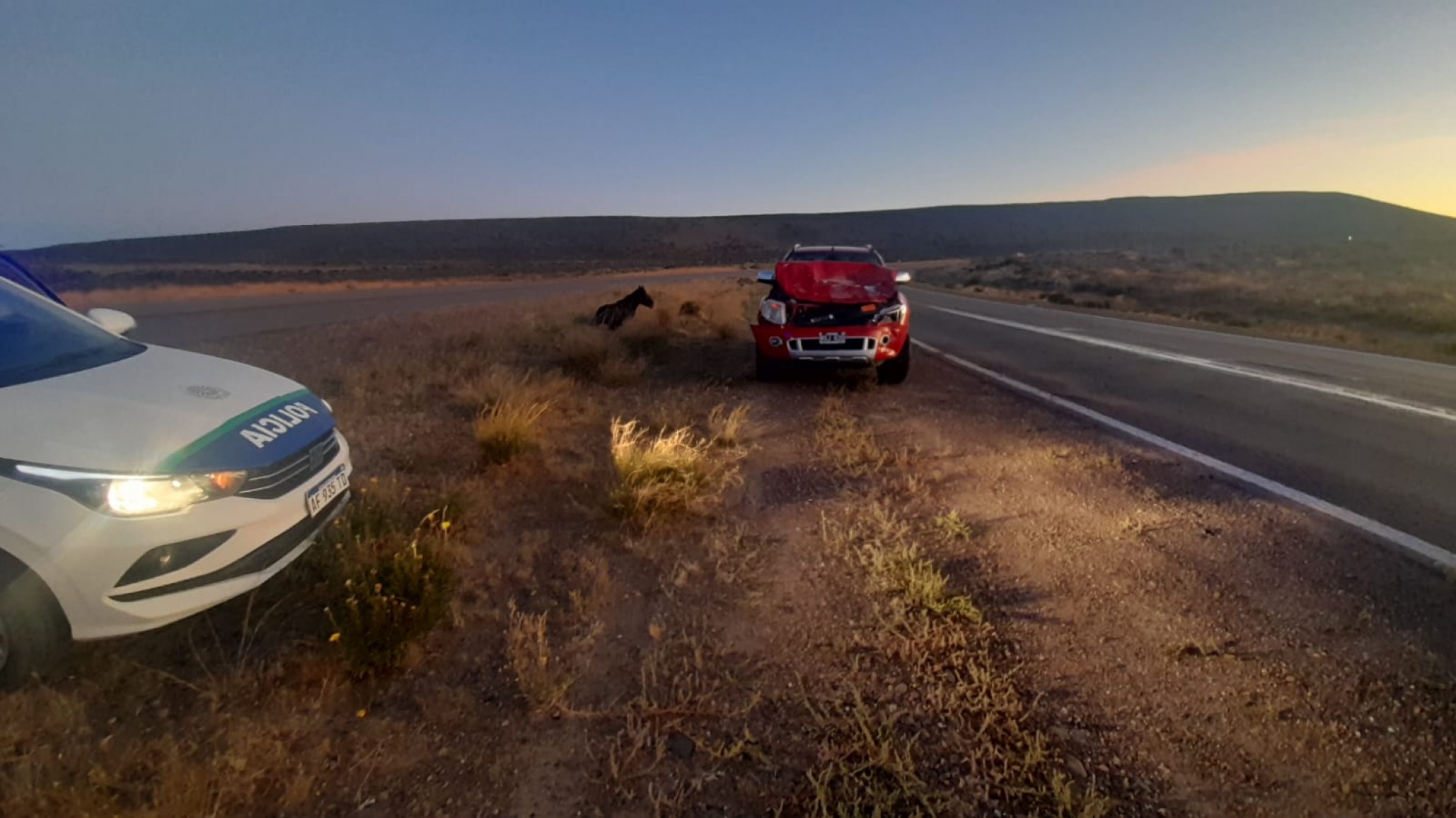 Chocó con un caballo: Una Ranger impactó con el equino suelto cerca de Rada Tilly
