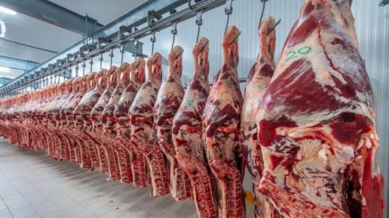 La venta de carne cayó un 40% en Chubut: "He visto gente comprar una chuleta o una pata muslo"
