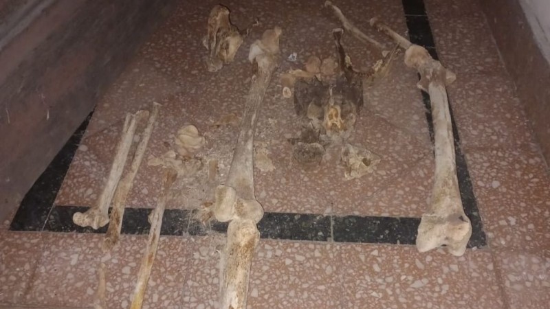 Insólito: hallaron una bolsa de huesos en plena calle en el centro de Santa Fe: los detalles