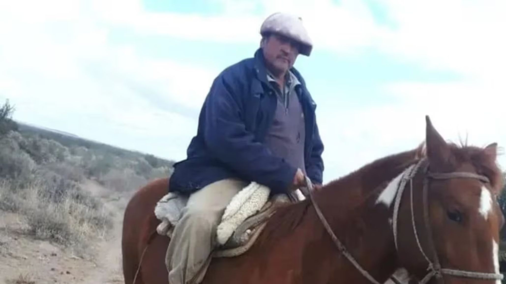 Mendoza: un jabalí mató a un trabajador rural y a sus cuatro perros