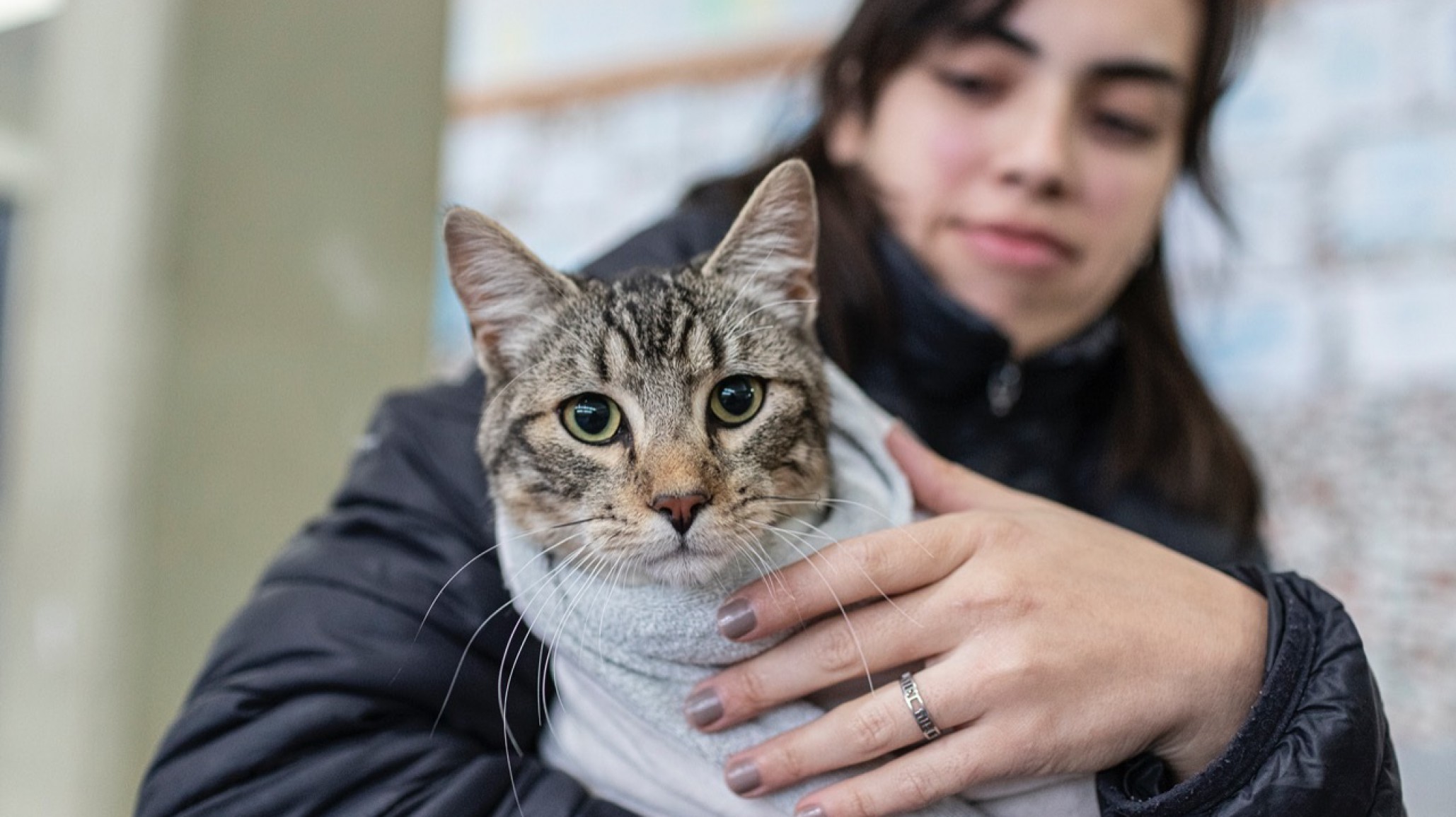 Comodoro Rivadavia: La nueva campaña de esterilización para perros y gatos será en el barrio 30 de octubre